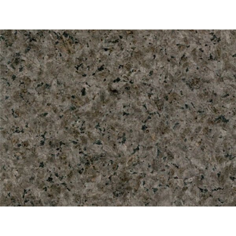 India Brown Oyster Pearl Granite