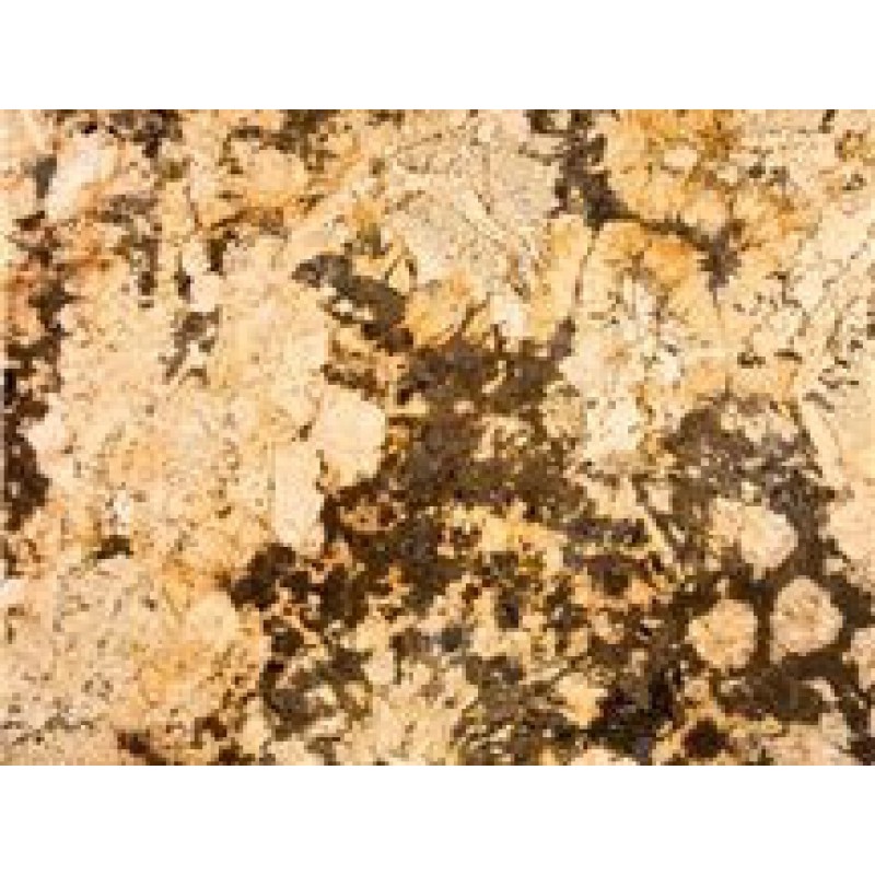  Brazil Delicatus Brown Granite