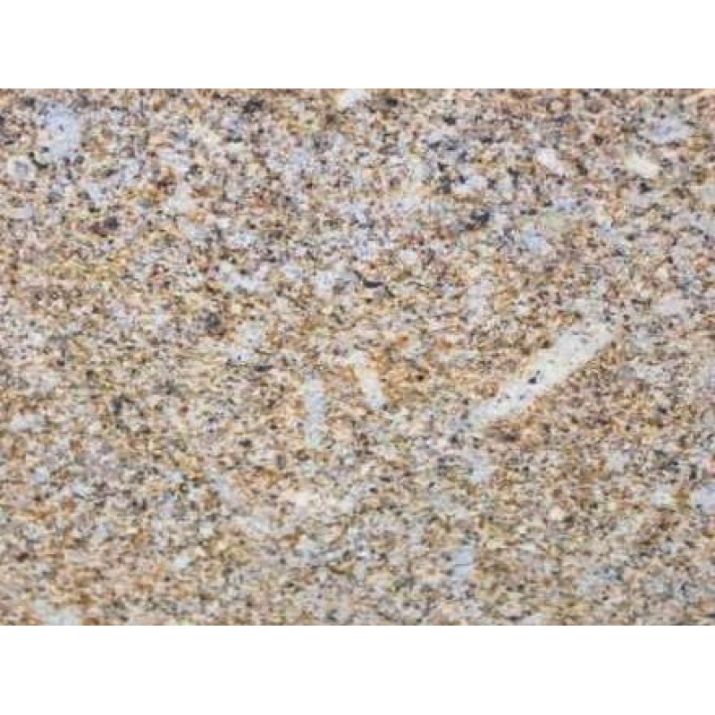  India  Yellow Costa Queimada Granite