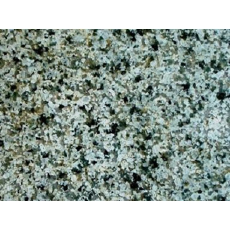 Viet Nam Green Rice Granite