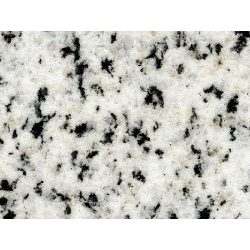 Egypt White Bianco Halayeb Granite