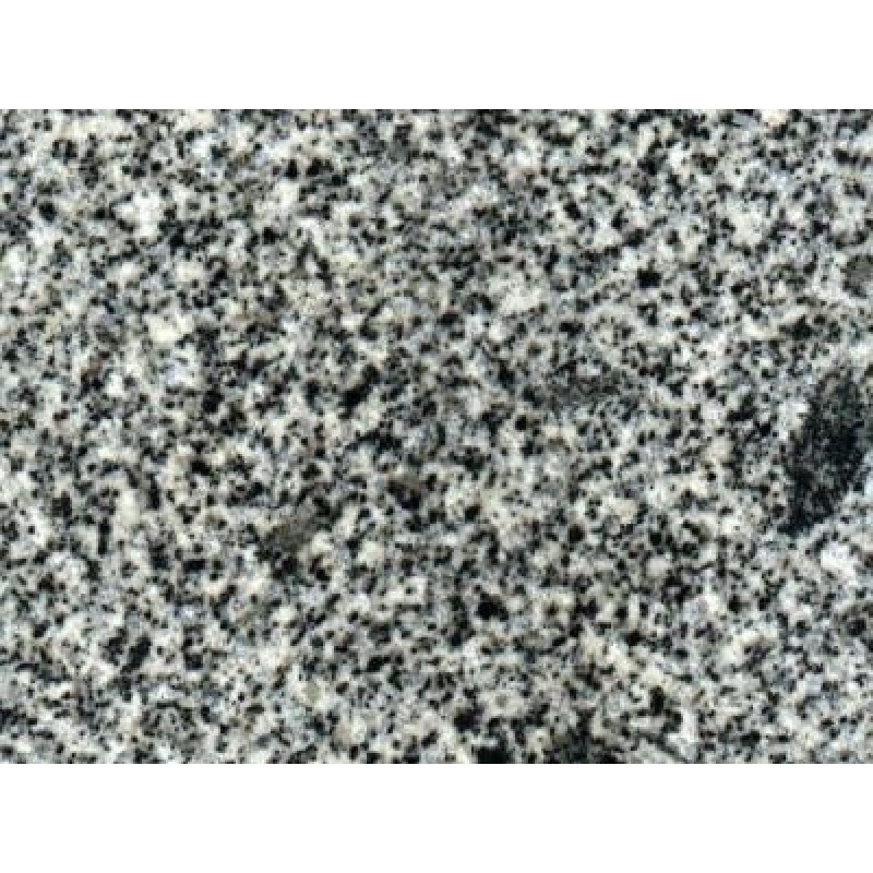  Switzerland Grey Campascio Granite