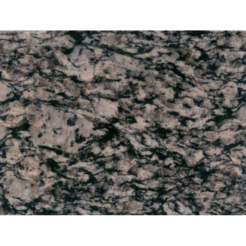  China Nummular Brown Grain Granite