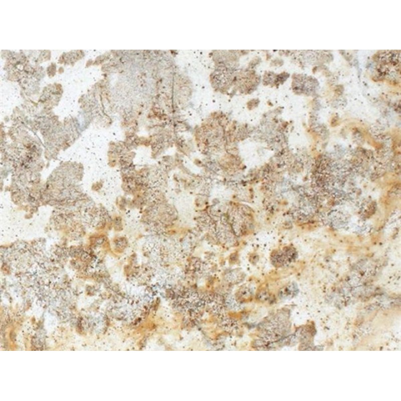 India Yellow Colonial Dream Granite