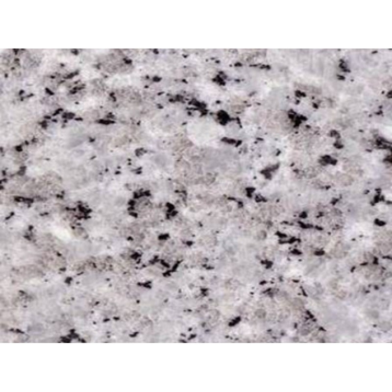 Italy White Bianco Monte Carlo Granite