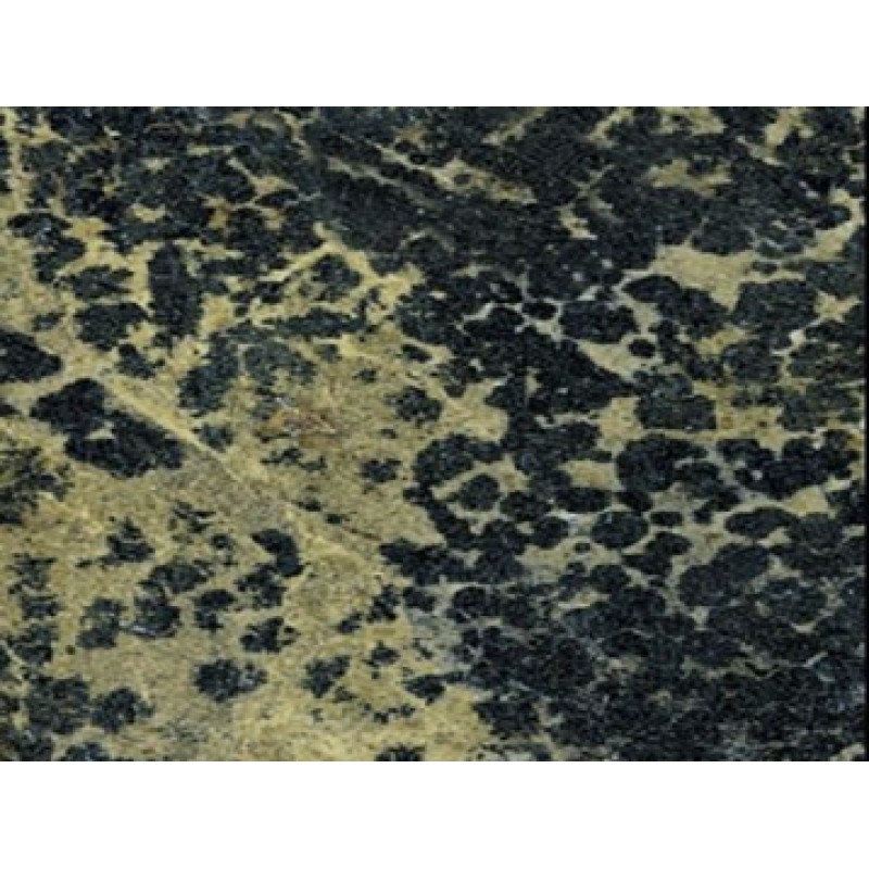 Iran Persian Green Granite